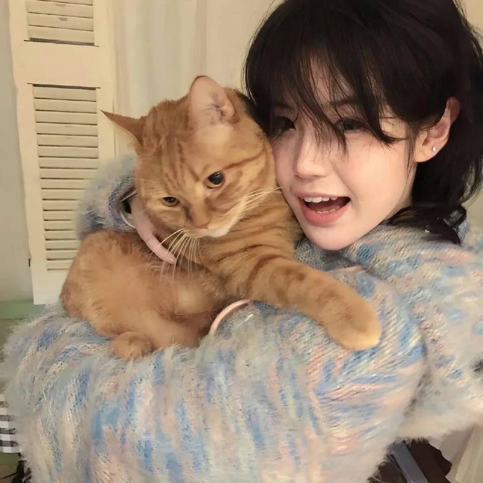 回来吧，欧尼奥
